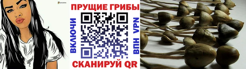 Псилоцибиновые грибы мухоморы  Заозёрск 